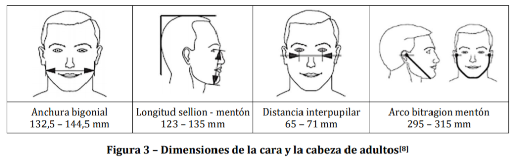 Dimensiones de la cara y la cabeza de adultos