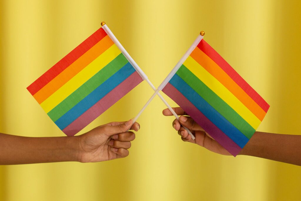 Personalizar articulos LGBTIQ+